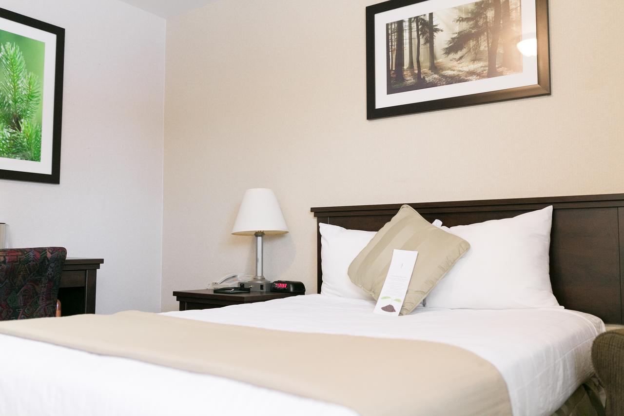 Victoria Inn 플린플론 외부 사진